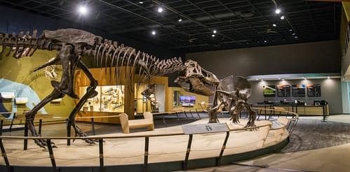 Cleveland Museum of Natural History